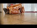 Ciaaattt Belajar Kendang Sunda images Ciaaattt Belajar Kendang Sunda