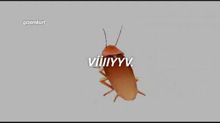 dans eden hamam böceği (türkçe çeviri)