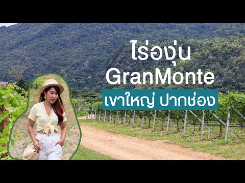 พาชมไร่องุ่น GranMonte เขาใหญ่ ปากช่อง โคราช