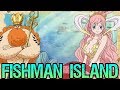 FISHMAN ISLAND: Geography Is Everything - One Piece Discussion