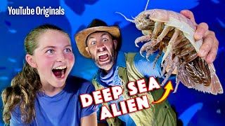 Real Isopod Hours With Coyote Peterson!