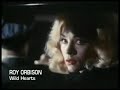 Wild Hearts Run Out Of Time Video preview