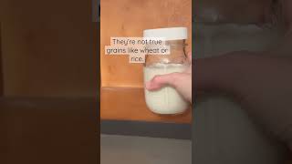 What Are Kefir Grains Where Does Kefir Come From Kefir Grains
