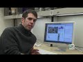 Chimp Goes Crazy! Explained