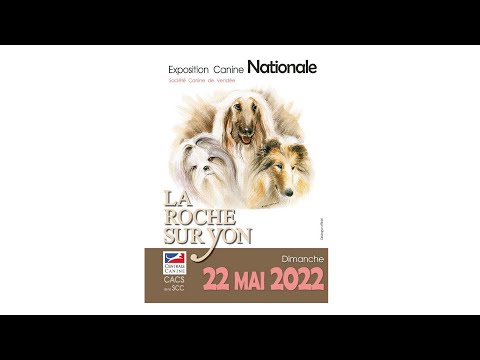 Exposition canine nationale de la Société Canine de Vendée: La Roche sur Yon 22 mai 2022