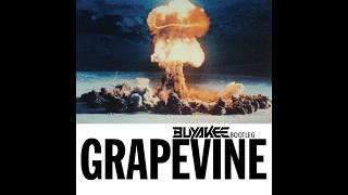 Tiësto Grapevine Buyakee Bootleg Tiësto Grapevine Buyakee Bootleg