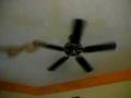 Mexican Dryer