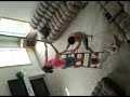 Mama vs the Balloon.