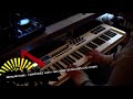 Video Depeche Mode - I Sometimes wish i was dead (Skinflutes Live Cover)