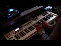 Depeche Mode - I Sometimes wish i was dead (Skinflutes Live Cover)