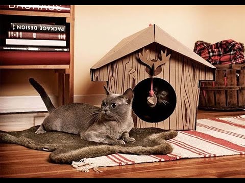 Как сделать уютный домик для котёнка Как сделать уютный домик для котёнка