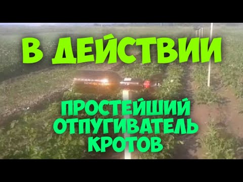 Иероглиф удача схема вышивки 32