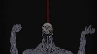 Opus My Bones?