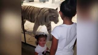 Funny Baby With Funny Lion And Tiger বাচ্চাদের সাথে বাঘ এবং সিংহের দুষ্টুমি না দেখলে আফসোস থেকে যাবে