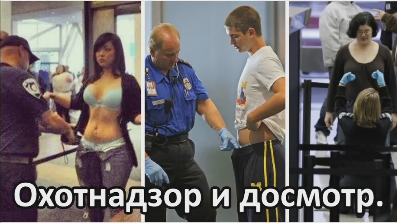 Ростовская Полиция Проверяет Организатора Обучающих Секс Оргий