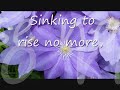 \"I Look To You\"WHITNEY HOUSTON LYRICS \"I Look To You\"WHITNEY HOUSTON LYRICS