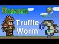 Terraria Xbox - Truffle Worm [150]
