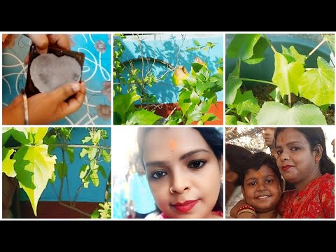 I have to keep my son's request #polilifestyl #YouTubevdo# Bengali video# subscribe please#👌👌👌 I have to keep my son's request #polilifestyl #YouTubevdo# Bengali video# subscribe please#👌👌👌