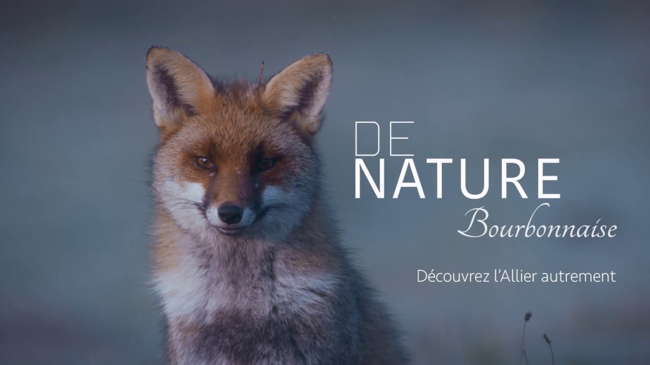 Toutes les vidéos