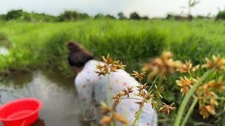 Giangbt Vlogtưởng Đâu Được Một Con Cá Ai Nhờ Không Được Con Nào Hôm Nay Chắc Ăn Cơm Với Muối