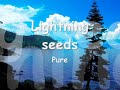 view The Lightning Seeds