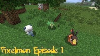Pixelmon 3.0 With Friends - Episode 1: Humble Beginnings