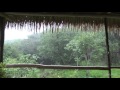 المطر - صوت المطر والرعد - اصوات الطبيعة - اصوات الطبيعة للنوم  - الاسترخاء - ماء