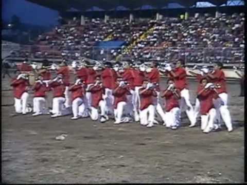 VIDEO MUSICAL DE LOS CUMBIA KINGS video musical de los cumbia kings: