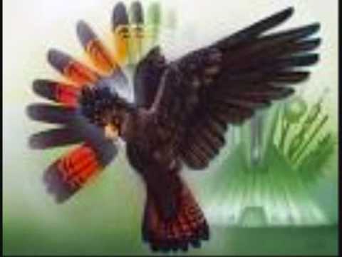 Peyote Songs By Lance Crowe & Edmond Poochay