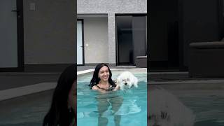 A Milly Nadando Na Piscina De Casa