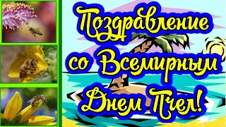 Поздравление Со Всемирным Днем Пчел! День Пчел! Красивое Пожелание С Днем Пчел! Музыкальная Открытка