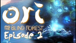 The Owl, The Tree, And The Sein Ori And The Blind Forest, Ep 2