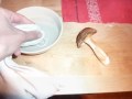 Limpieza de una seta comestible (Boletus edulis)