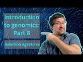 Selection signatures | Introduction to genomics theory | Genomics101 (beginner-friendly)