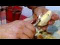 como pelar un suillus luteus(boleto viscoso anillado)