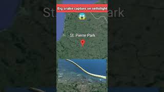 Big Snake Found On Google Maps And Google Earth