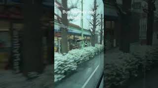 Bus Journey And Snowfall...