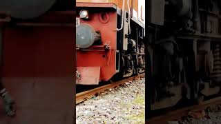 Wdm 3D Twin Locomotives