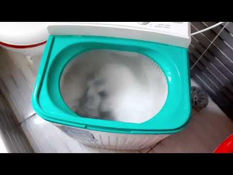 روتين تحفيزي للكسلانين مع ام آيو الموسوسه روتين تحفيزي للكسلانين مع ام آيو الموسوسه