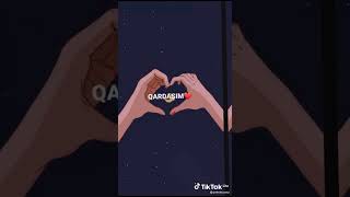 Soundsappstatus Üçün Videowhatsapp Üçün Videoqardaş Üçün Video