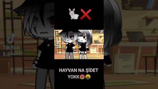 Hayvana Eziyet Yokk