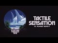 Tactile Sensation Video preview
