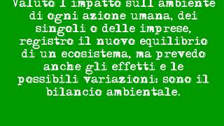 BILANCIO AMBIENTALE