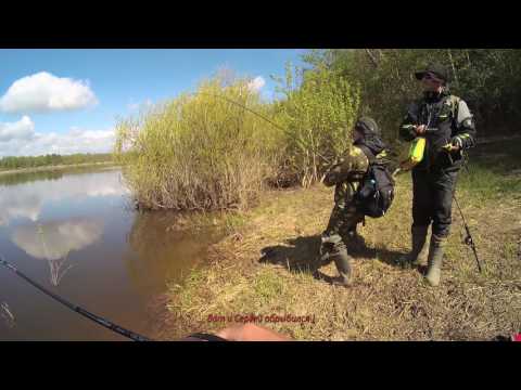 ловим хищника по весне видео ловим хищника по весне видео