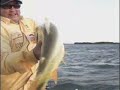 Video de Ayrton pesca - programa de pesca - dourado - veja mais! www.videospesca.com.br