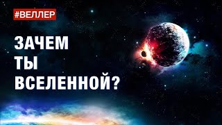 Зачем Ты Вселенной? Создать И Уничтожить! - #Веллер 24 01 2023