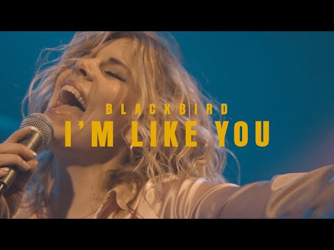 Blackbird (Merel Koman) - I'm Like You