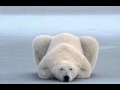Gareth Johnson - I want it (Rock Ver.) Nat Geo Wild 2012