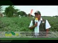 Eco Rural Dia de Campo de AGROTERRA zona Norte San Pedro