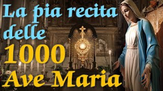 1000 AVE MARIA DAVANTI A GESÙ EUCARISTIA - 8 dicembre 2022